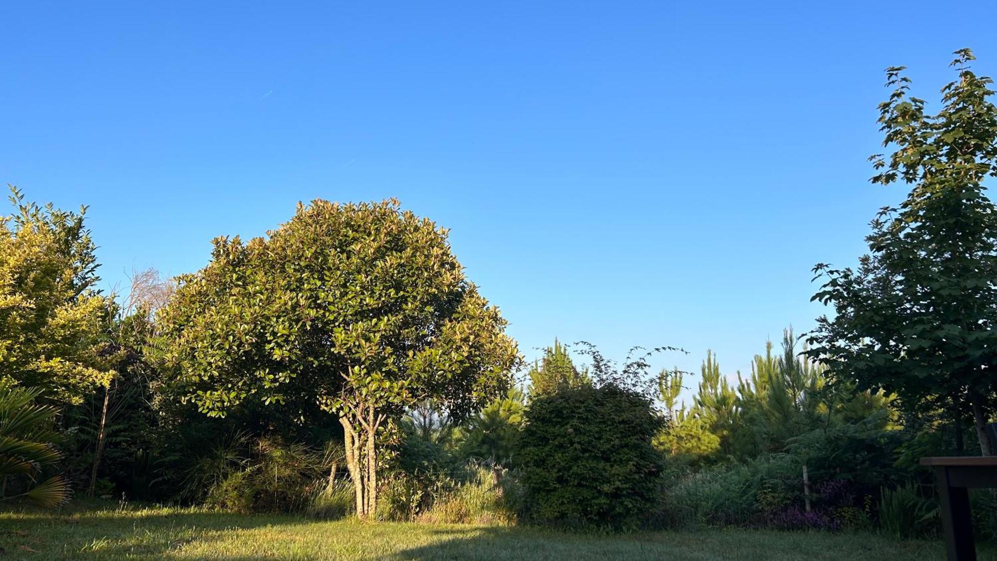 Jolie Maison De Vacances Avec Terrasse Et Jardin Saint-Julien-en-Born Esterno foto
